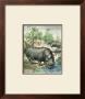 Hippopotamus by Friedrich Specht Limited Edition Print