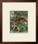 Jaguar by Friedrich Specht Limited Edition Pricing Art Print