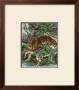 Jaguar by Friedrich Specht Limited Edition Print