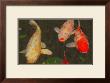 Green Rock Japanese Koi I by Erichan Limited Edition Print