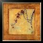 Chinese Blossoms Ii by Jill Barton Limited Edition Print