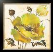 Fresh Poppy by Stefania Ferri Limited Edition Print