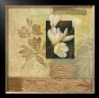 Magnolia Leaf by Fabrice De Villeneuve Limited Edition Pricing Art Print