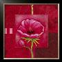 Carre De Fleur Viii by Sylvi Pasquier Limited Edition Print