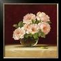 Bouquet Of Roses I by Fasani Limited Edition Print
