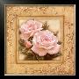 Pretty In Pink Roses by Igor Levashov Limited Edition Print