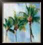 Three Palms by Sara Abbott Limited Edition Pricing Art Print