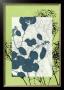 Translucent Wildflowers Vii by Jennifer Goldberger Limited Edition Print