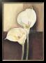 Two White Callas by Namazbek Chekirov Limited Edition Pricing Art Print
