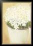 White Flowers In Vase by Cuca Garcia Limited Edition Pricing Art Print