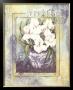 Oriental Garden I by Deborah K. Ellis Limited Edition Pricing Art Print