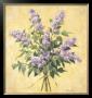 Lilac Season I by Telander Limited Edition Pricing Art Print