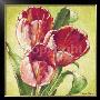 Three Red Tulips by Paula Reed Limited Edition Print