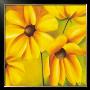 Yellow Sundancer by Caroline Wenig Limited Edition Pricing Art Print