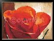 Bright Red Rose by Arkadiusz Warminski Limited Edition Pricing Art Print