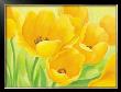 Spring Tulips by Susanne Bach Limited Edition Print