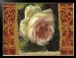Classic White Rose by Tony Lupas Limited Edition Print