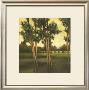 Through The Trees I by Larson Limited Edition Print