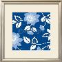 Bed Of Blue Roses I by Diane Moore Limited Edition Print