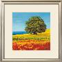 Albero Sul Mare I by Giorgio Arnolfi Limited Edition Pricing Art Print