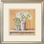Les Fleurs Blanches, Agapanthes Et Muscaris by Laurence David Limited Edition Print