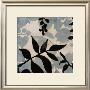 Bianco Visione I by Rubin Limited Edition Print