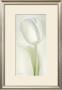 White Poetry by Annemarie Peter-Jaumann Limited Edition Print