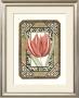 Lattice Tulip by Chariklia Zarris Limited Edition Print