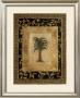 Palm Tree Ii by Alan Hayes Limited Edition Pricing Art Print