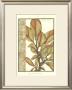 Gilded Leaves I by Jennifer Goldberger Limited Edition Print