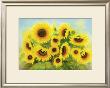 Blumen Der Sonne by Werner Lindt Limited Edition Print