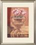 Classic Cyclamen by Scott Norman Limited Edition Print