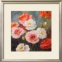 Lemaire Poppies by Julia Hawkins Limited Edition Print