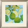 Fresh Limes by Martha Negley Limited Edition Pricing Art Print