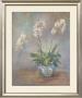 Orchid Heirloom Ii by Lily Chang Limited Edition Print