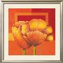 To Be In Flower by Marlene Verhagen Limited Edition Print