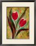 Tulip by Marcella Rose Limited Edition Pricing Art Print