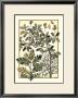 Arts And Crafts Oak by M.P. Verneuil Limited Edition Pricing Art Print