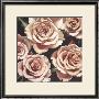 Roses by Elizabeth Hellman Limited Edition Pricing Art Print