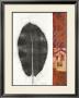 Leaf Study Ii by Kerry Vander Meer Limited Edition Print