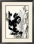 Translucent Wildflowers Ix by Jennifer Goldberger Limited Edition Pricing Art Print