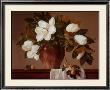 Magnolia With Apricots by Joe Anna Arnett Limited Edition Print