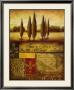 Renaissance Landscape I by Susan Osborne Limited Edition Print