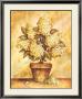 Potted White Hydrangea by Tina Chaden Limited Edition Pricing Art Print