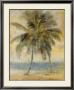 Palm Hammock Ii by Stiles Limited Edition Print