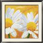 Wish You Were Here Ii by Jurgen Muss Limited Edition Print