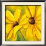 Yellow Impression by Caroline Wenig Limited Edition Print