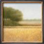 Wheat Field by Hans Dolieslager Limited Edition Print