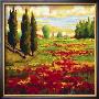 Tuscany In Bloom I by J.M. Steele Limited Edition Print