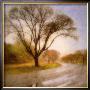 Autumn Road by Sally Wetherby Limited Edition Print